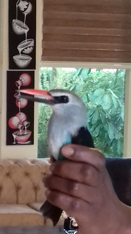 Ikaze B&B Kigali Luaran gambar